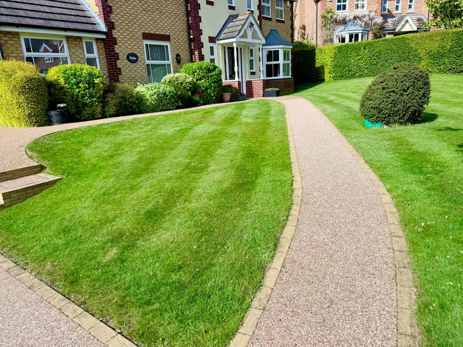 WhatsApp Image 2026-02-21 at 15.26.20